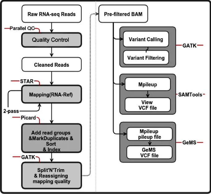 SNP calling pipeline based on the RNA-Seq data