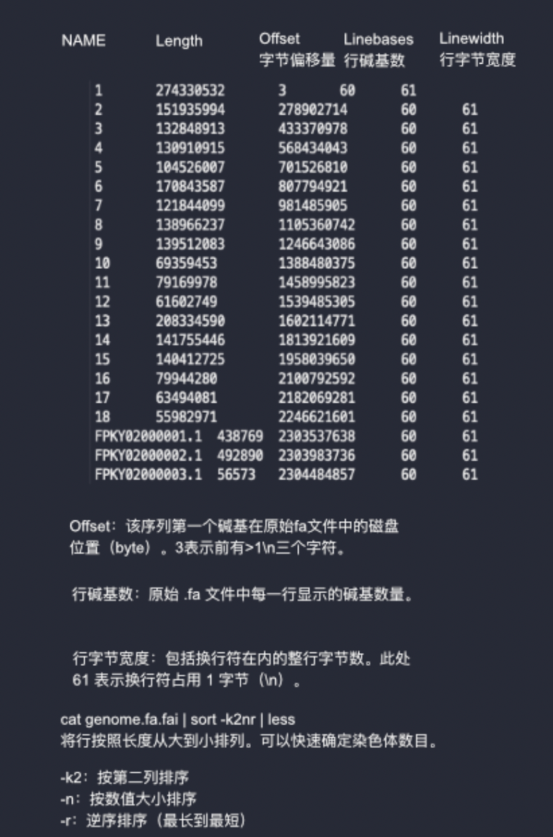 genome.fa.fai 示例