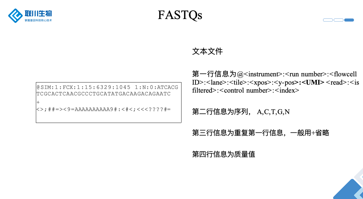 Fastq 结构示意